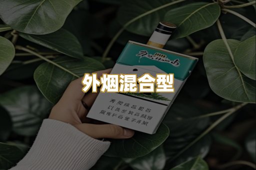 外烟混合型